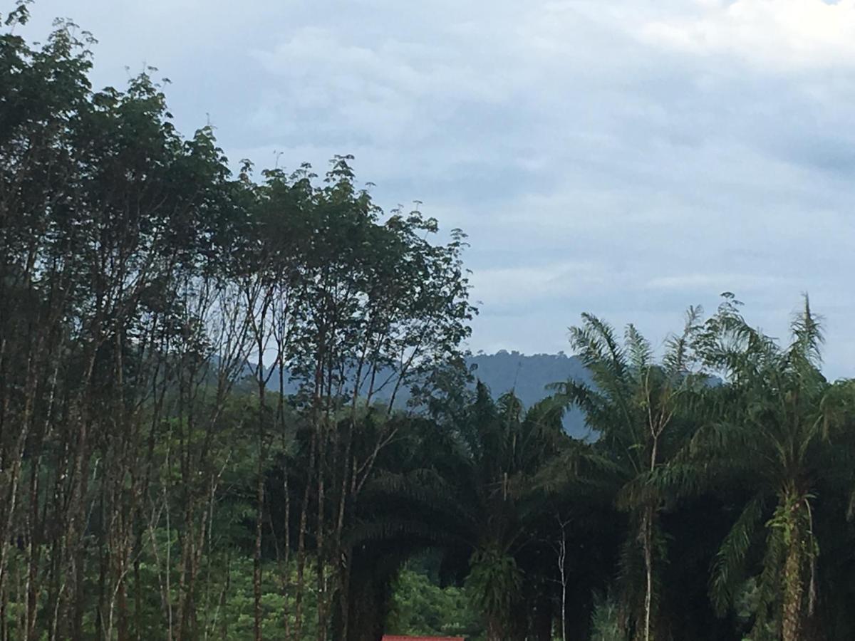 카오 속 에버그린 하우스 호텔 Khao Sok National Park 외부 사진