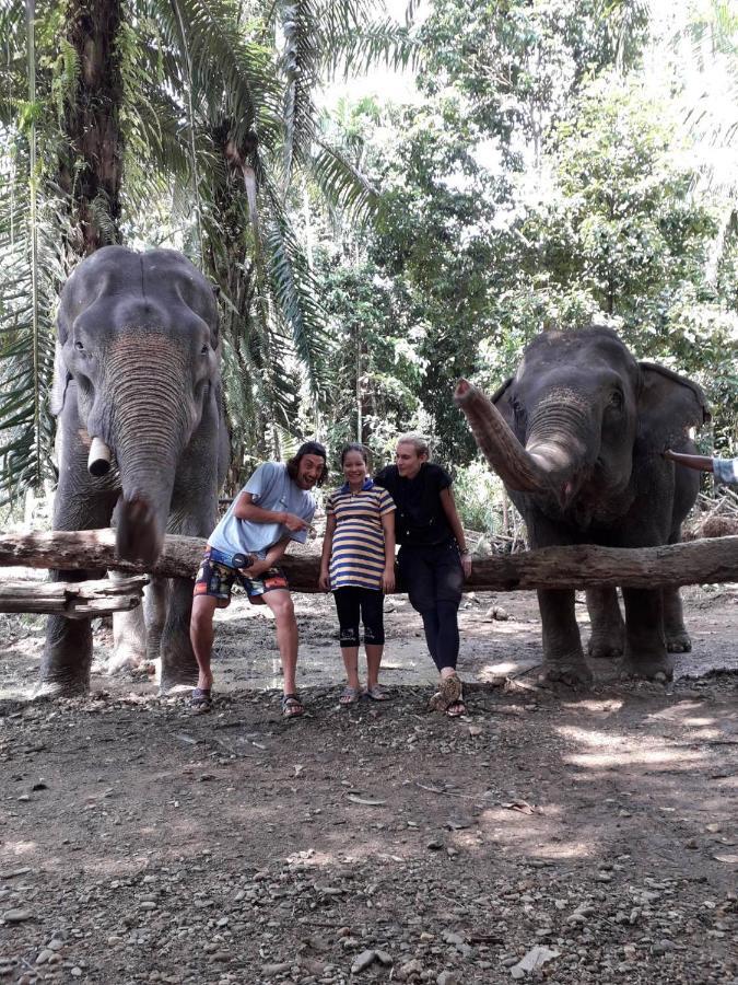 카오 속 에버그린 하우스 호텔 Khao Sok National Park 외부 사진