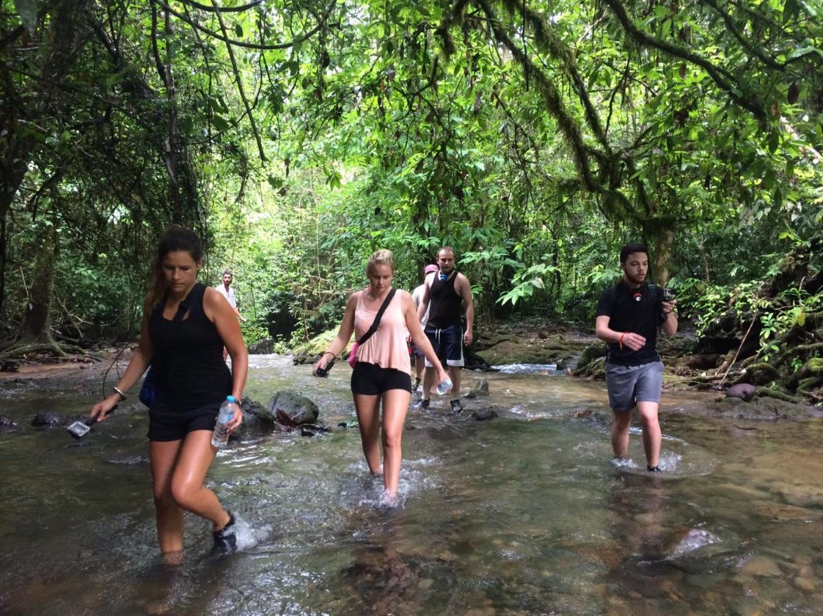 카오 속 에버그린 하우스 호텔 Khao Sok National Park 외부 사진